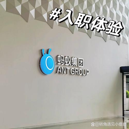 Mavi招聘什么岗位？要求有哪些？-图1