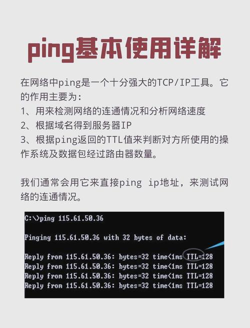 如何查看IP路由命令？-图2
