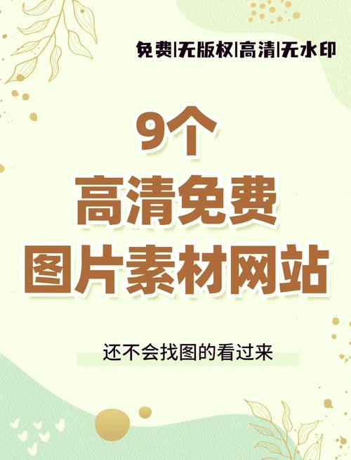 如何查看图片的网站有哪些？-图2