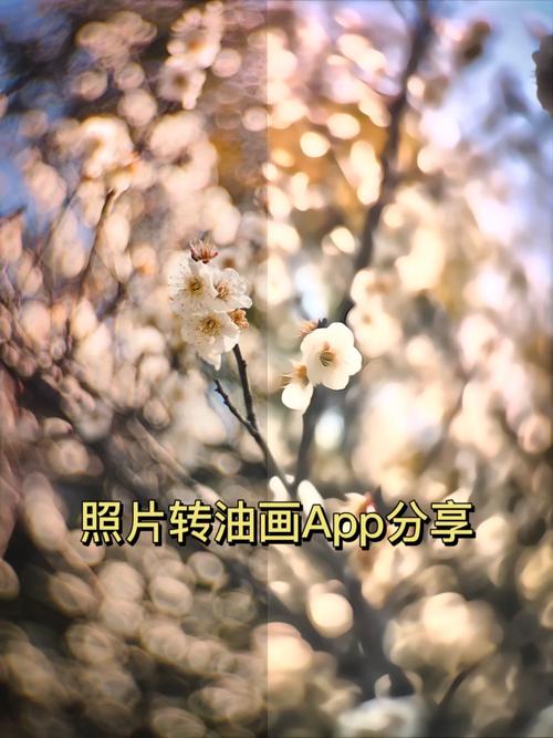 PS一键转油画？参数怎么调才逼真？-图2