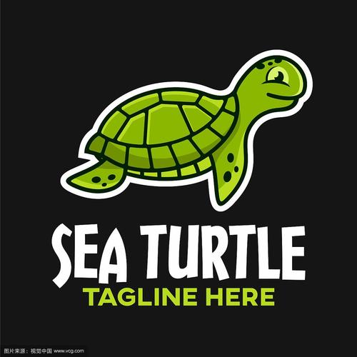 logo小海龟命令是什么?-图1 logo小海龟命令是什么?-图1
