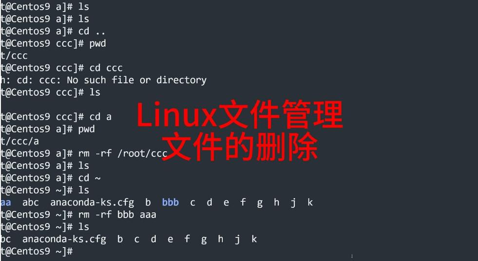 Linux命令行删除文件/目录有哪些常用命令?-图2 Linux命令行删除文件/目录有哪些常用命令?-图2