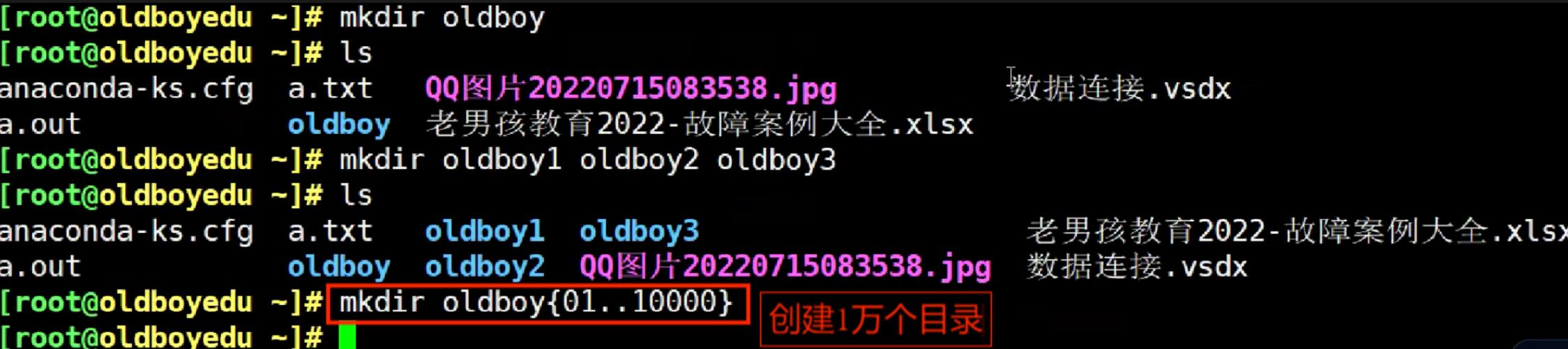 Linux命令行bash，高效操作的关键是什么？-图1