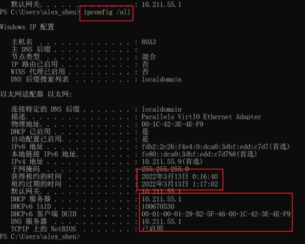 常用IP网络命令有哪些？-图1