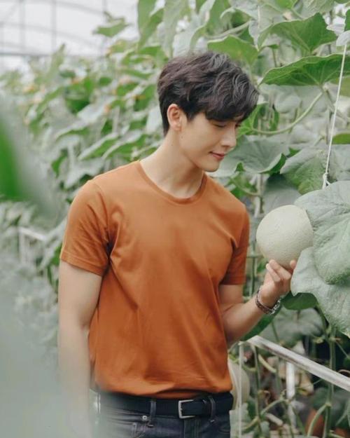 招聘push岗位，具体职责是什么？-图2