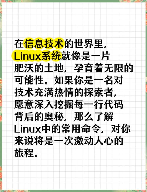 探索者部分命令有哪些具体功能？-图2