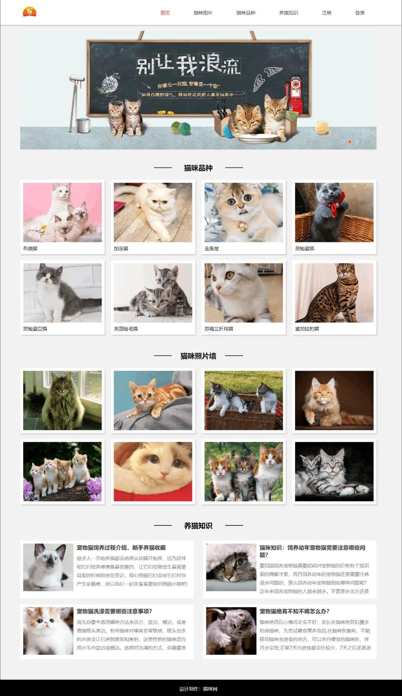 在家接网页制作,新手如何入门接单?-图3 在家接网页制作,新手如何入门接单?-图3