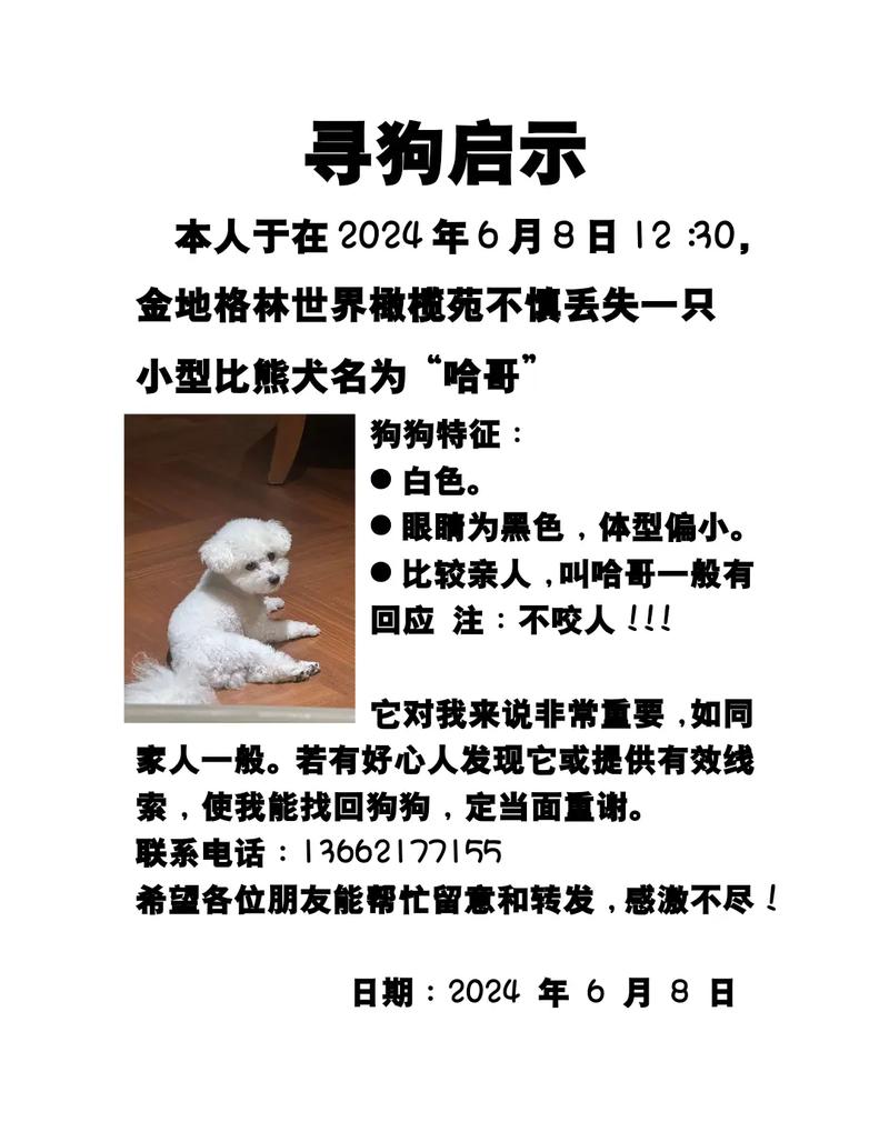 招聘狗招聘版好用吗?-图3 招聘狗招聘版好用吗?-图3