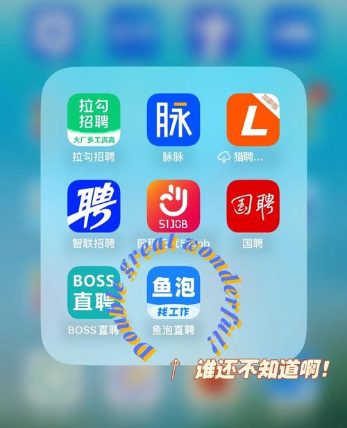 招聘软件哪家强?求职招聘如何选?-图2 招聘软件哪家强?求职招聘如何选?-图2
