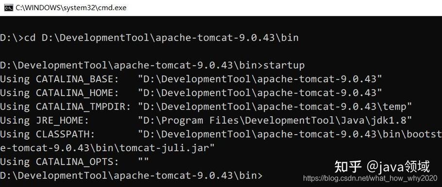 如何停止Tomcat命令行进程？-图2