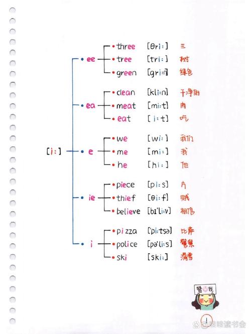 i开头的音节发音规则是什么？-图3