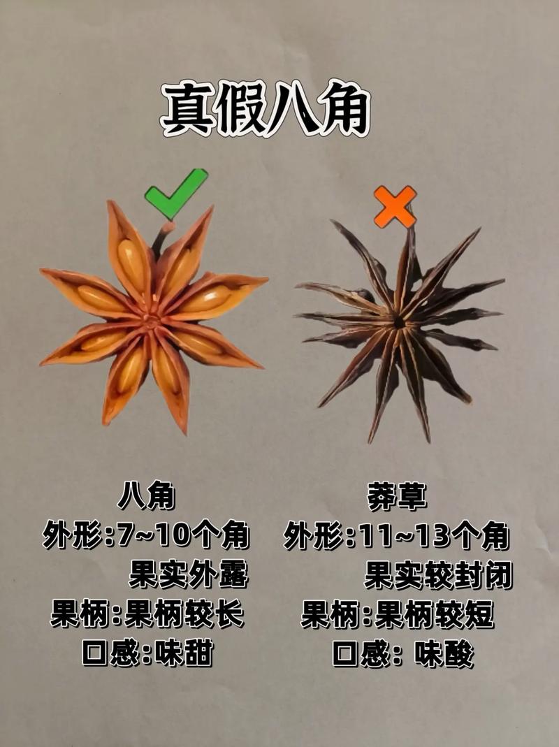 食物阴阳如何辨别?-图2 食物阴阳如何辨别?-图2