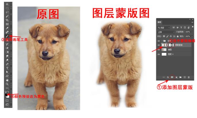 PS如何添加透明蒙版?-图1 PS如何添加透明蒙版?-图1