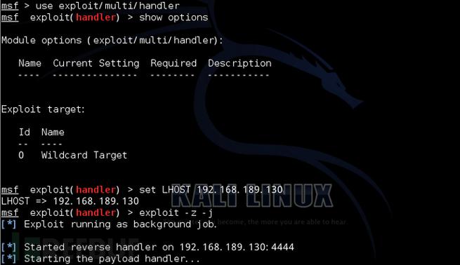 Kali查看版本命令有哪些?-图1 Kali查看版本命令有哪些?-图1