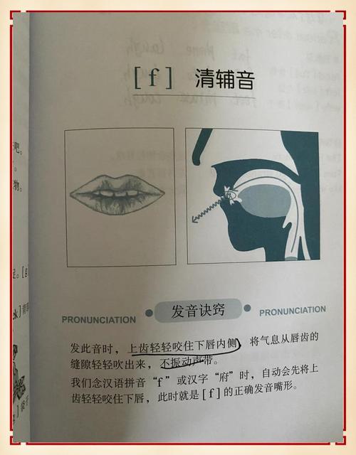 如何准确发出真正的浊辅音?-图1 如何准确发出真正的浊辅音?-图1