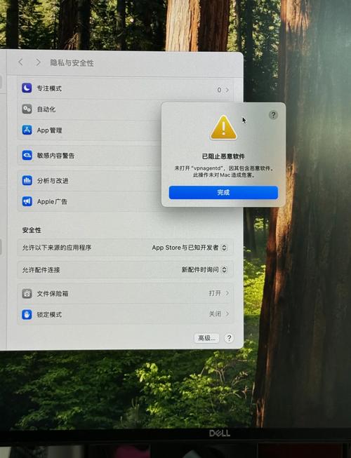 mac命令行如何高亮显示？-图3