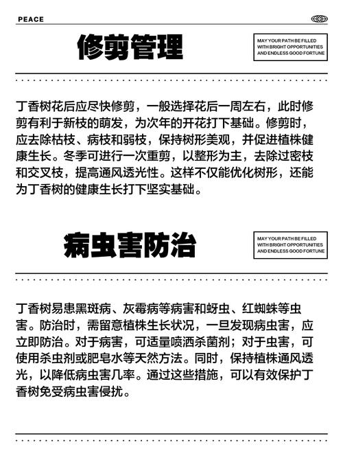 盆栽紫丁香怎么种才能活得好？-图2