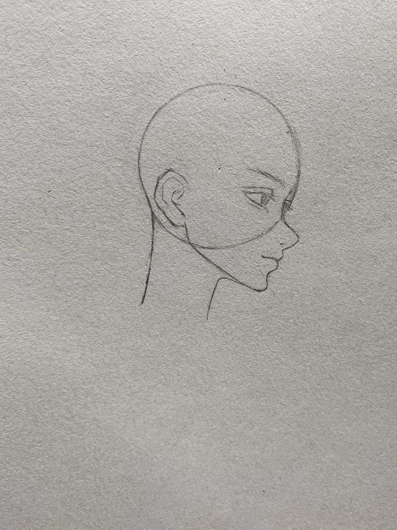 数字画侧脸,如何精准把握比例与线条?-图2 数字画侧脸,如何精准把握比例与线条?-图2