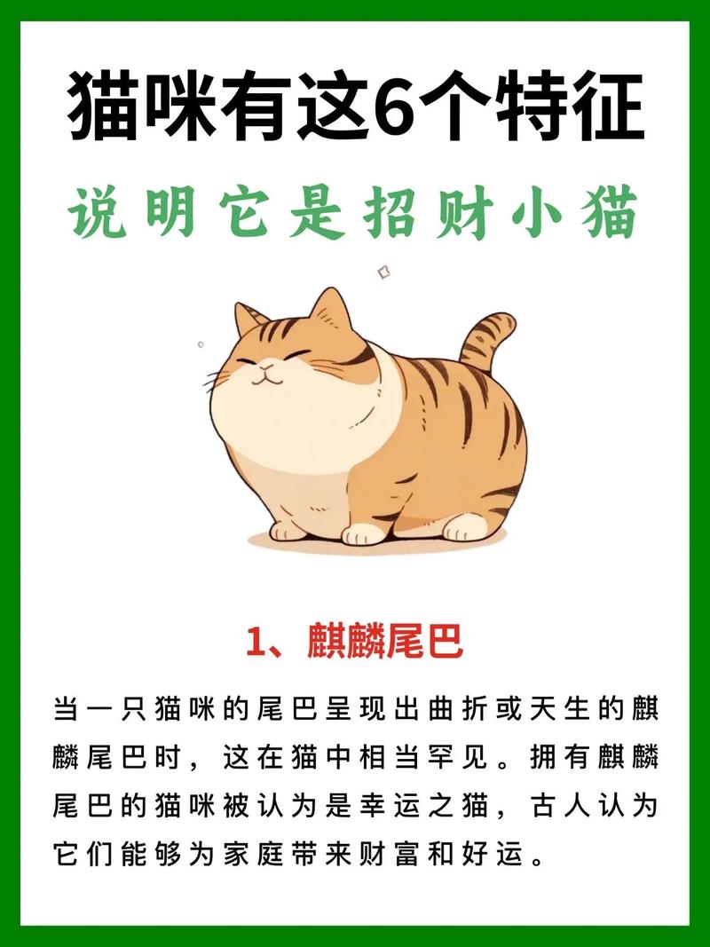 招财猫官网招聘步骤具体是怎样的?-图1 招财猫官网招聘步骤具体是怎样的?-图1