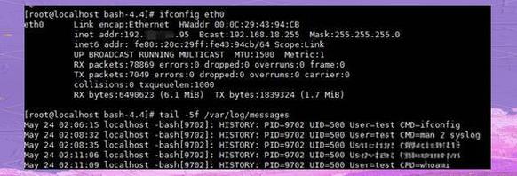 Linux如何查看所有历史命令?-图2 Linux如何查看所有历史命令?-图2
