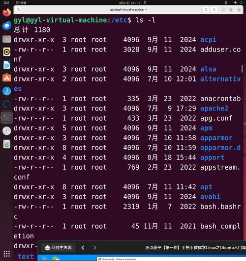 Linux进入root命令是什么？-图2