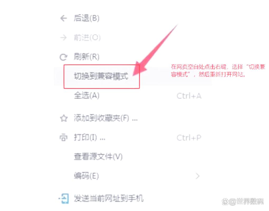 网页兼容模式怎么设置？-图2