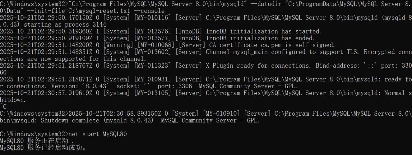 yo不是内部命令怎么办?-图3 yo不是内部命令怎么办?-图3