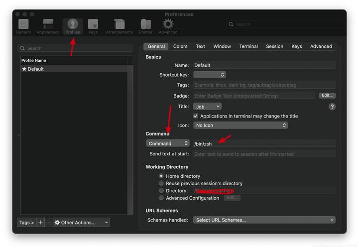 生存之旅2命令如何解锁与使用?-图3 生存之旅2命令如何解锁与使用?-图3