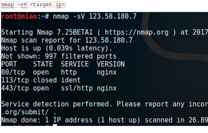 nmap端口扫描命令有哪些常用参数？-图3