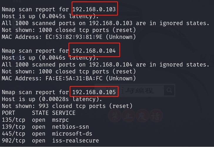 nmap端口扫描命令有哪些常用参数？-图1