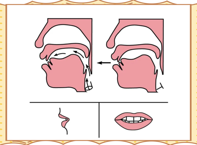 z吧后面如何发音？-图2