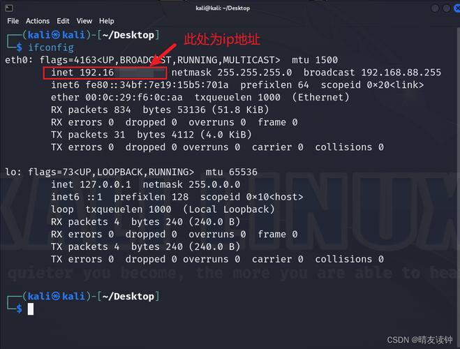Kali命令如何设置网络？-图2