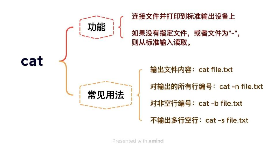 cat命令用法有哪些?-图2 cat命令用法有哪些?-图2