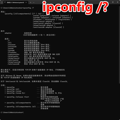 命令中如何查看ip？-图2
