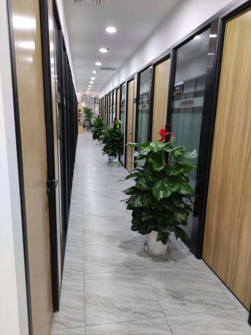 启明星辰招聘官网有哪些职位在招？-图2