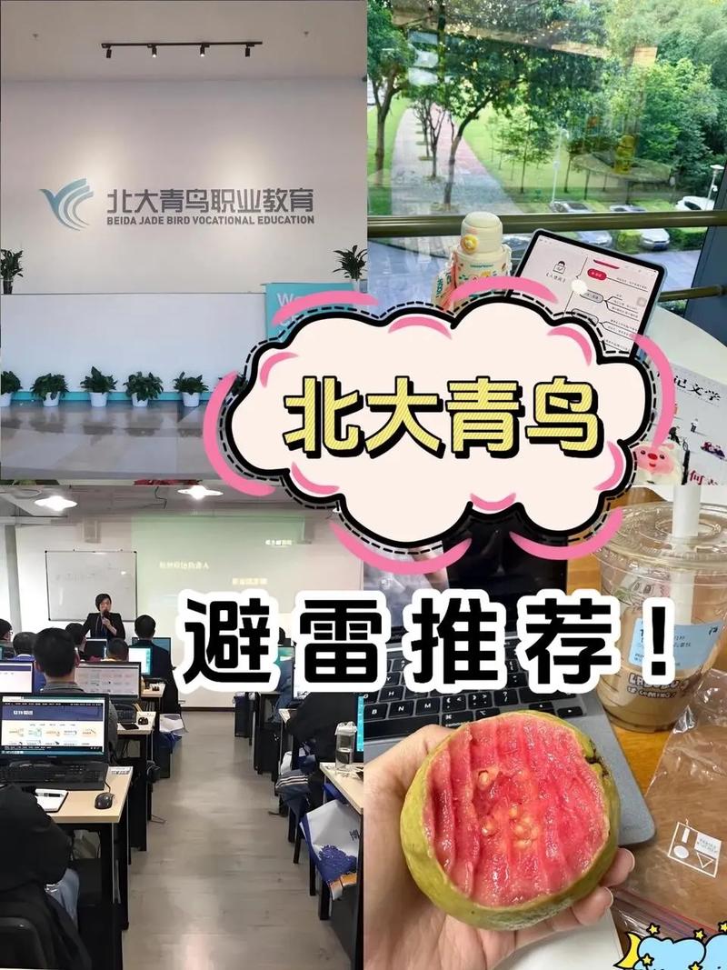 烟台北大青鸟招聘哪些岗位？要求是什么？-图1