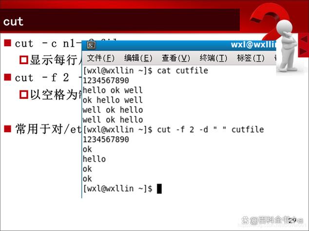 mac shell终端命令有哪些常用技巧?-图1 mac shell终端命令有哪些常用技巧?-图1