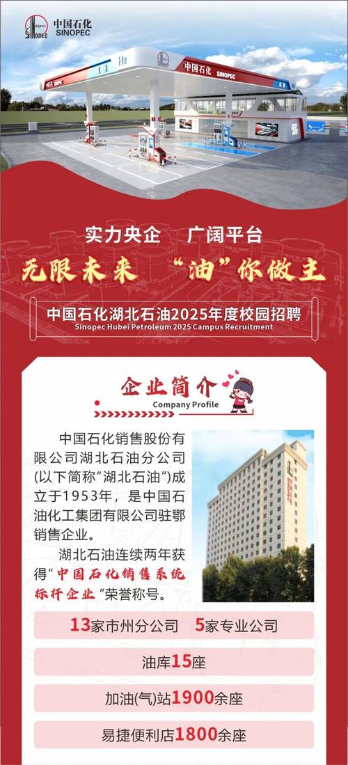 石化盈科2017招聘有哪些岗位要求?-图2 石化盈科2017招聘有哪些岗位要求?-图2