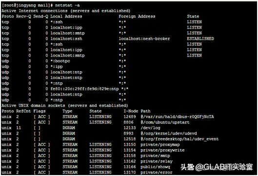 Linux性能监控命令有哪些？-图2