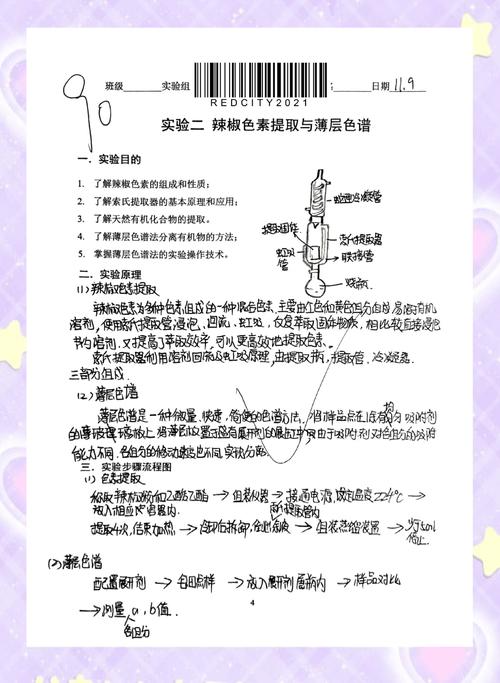 如何高效提取模板子目?-图3 如何高效提取模板子目?-图3