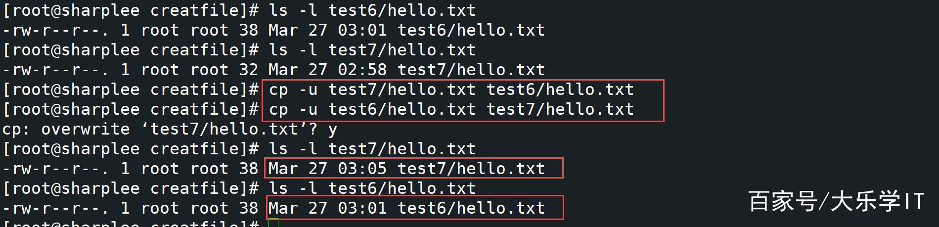 Linux cp命令用法有哪些关键参数和技巧？-图3