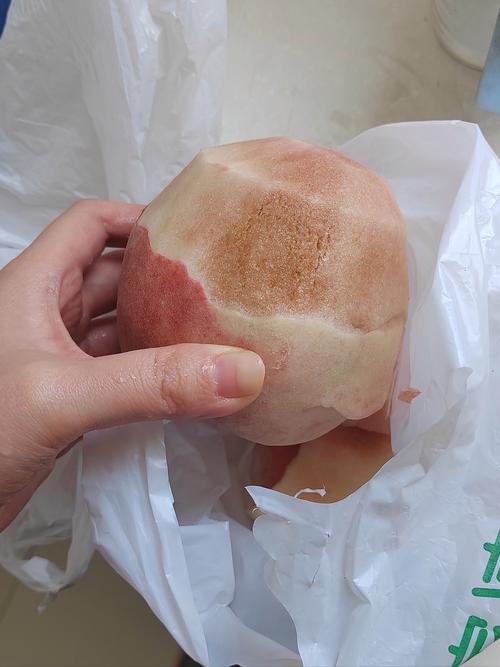 桃子变质怎么判断?看闻摸有啥窍门?-图1 桃子变质怎么判断?看闻摸有啥窍门?-图1