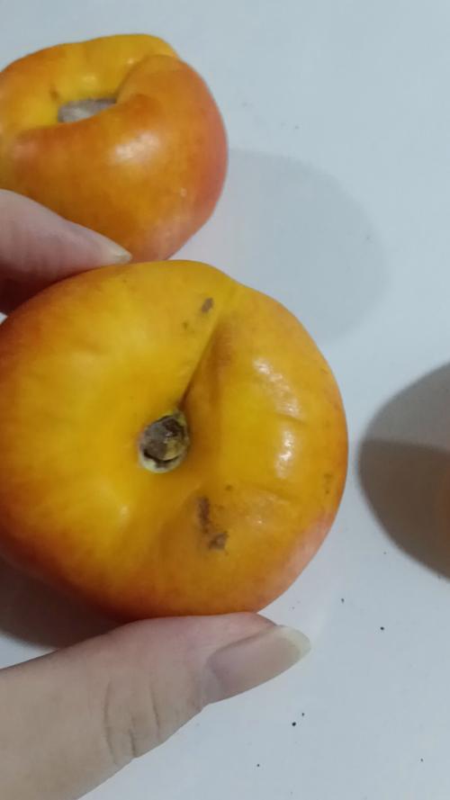 桃子变质怎么判断?看闻摸有啥窍门?-图2 桃子变质怎么判断?看闻摸有啥窍门?-图2
