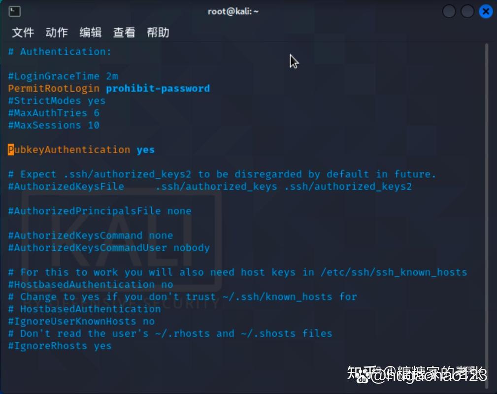 kali更新命令软件有哪些？-图3