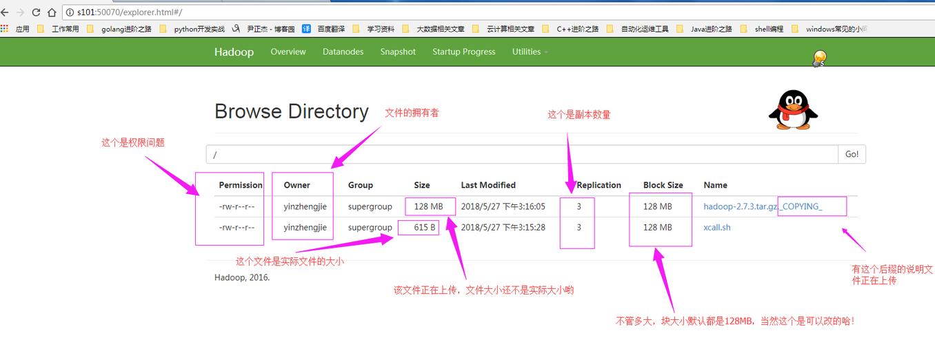 HDFS查看文件有哪些常用命令？-图3