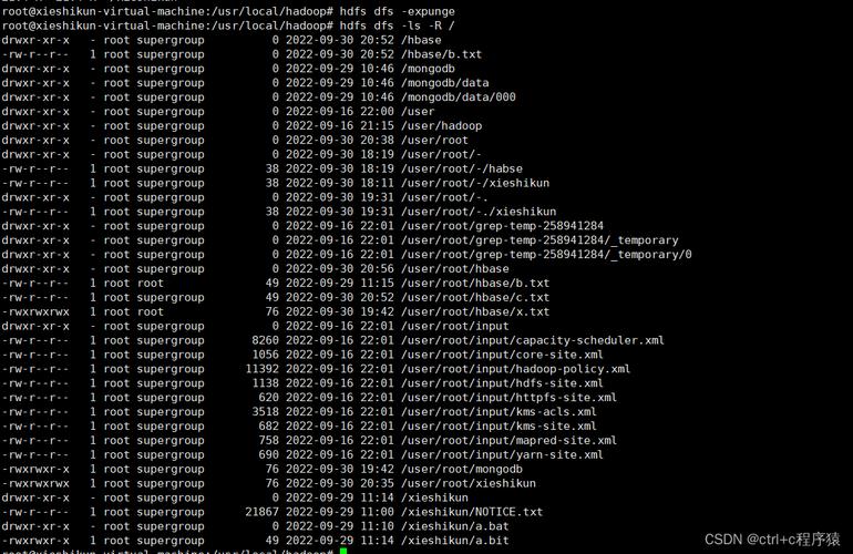 HDFS Shell命令有哪些常用操作?-图2 HDFS Shell命令有哪些常用操作?-图2