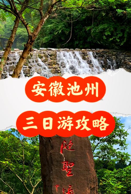 池州专业网站建设哪家好-图3