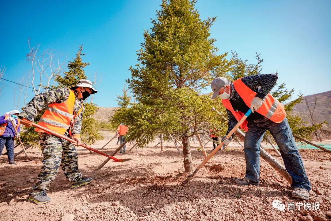 西宁网站建设王道下拉惠-图2