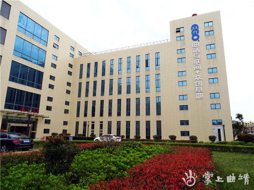 曲靖网站建设哪家效果真的好？-图3