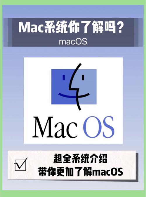 macOS网络命令有哪些常用功能？-图2